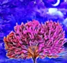 collection-img